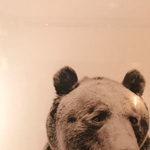 Meet your Posher, Whitney